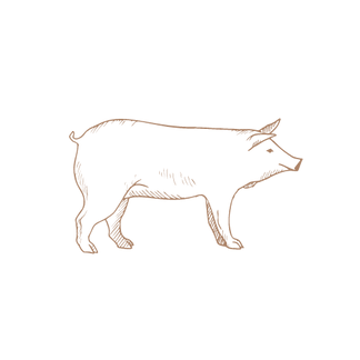 8.png